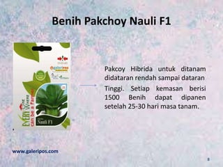 Benih Pakchoy Nauli F1
Pakcoy Hibrida untuk ditanam
didataran rendah sampai dataran
Tinggi. Setiap kemasan berisi
1500 Benih dapat dipanen
setelah 25-30 hari masa tanam.
www.galeripos.com
8
 