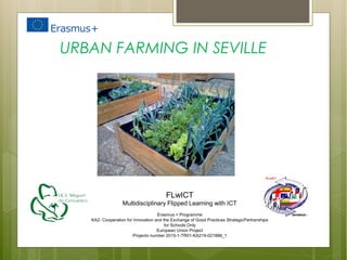FLwICT
Multidisciplinary Flipped Learning with ICT
Erasmus + Programme
KA2- Cooperation for Innovation and the Exchange of Good Practices StrategicPartnerships
for Schools Only
European Union Project
Projecto number 2015-1-TR01-KA219-021988_1
URBAN FARMING IN SEVILLE
 