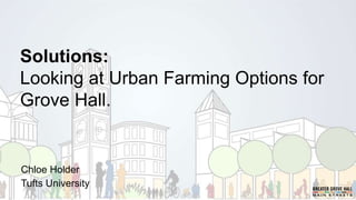 Solutions:
Looking at Urban Farming Options for
Grove Hall.
Chloe Holder
Tufts University
 