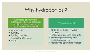 Urban farming with hydroponics | PDF