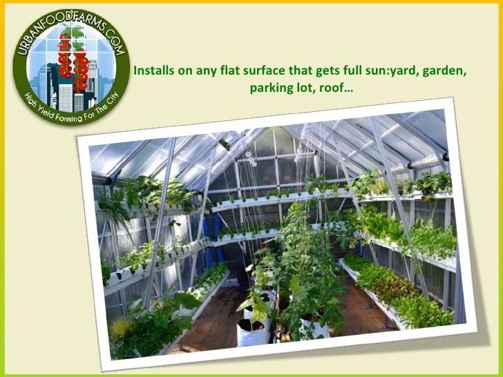 Urban Food Farms - Sustainable Food Systems for The City