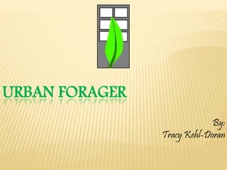 URBAN FORAGER
By:
Tracy Kehl-Doran
 