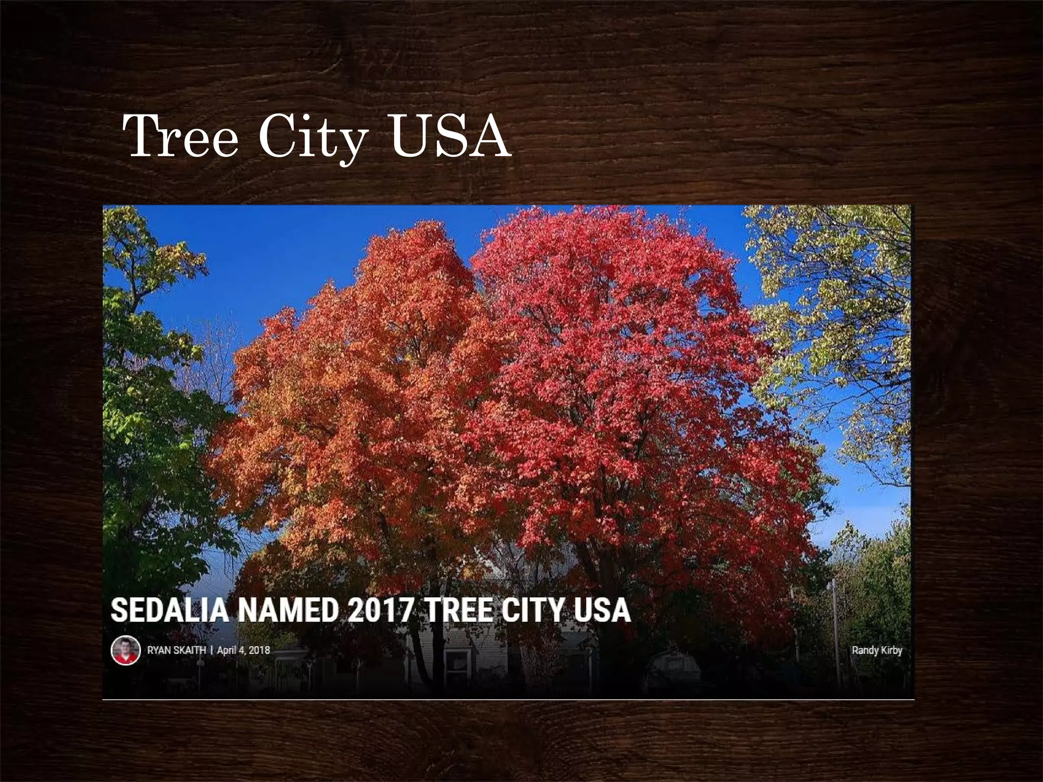 Tree City USA
 