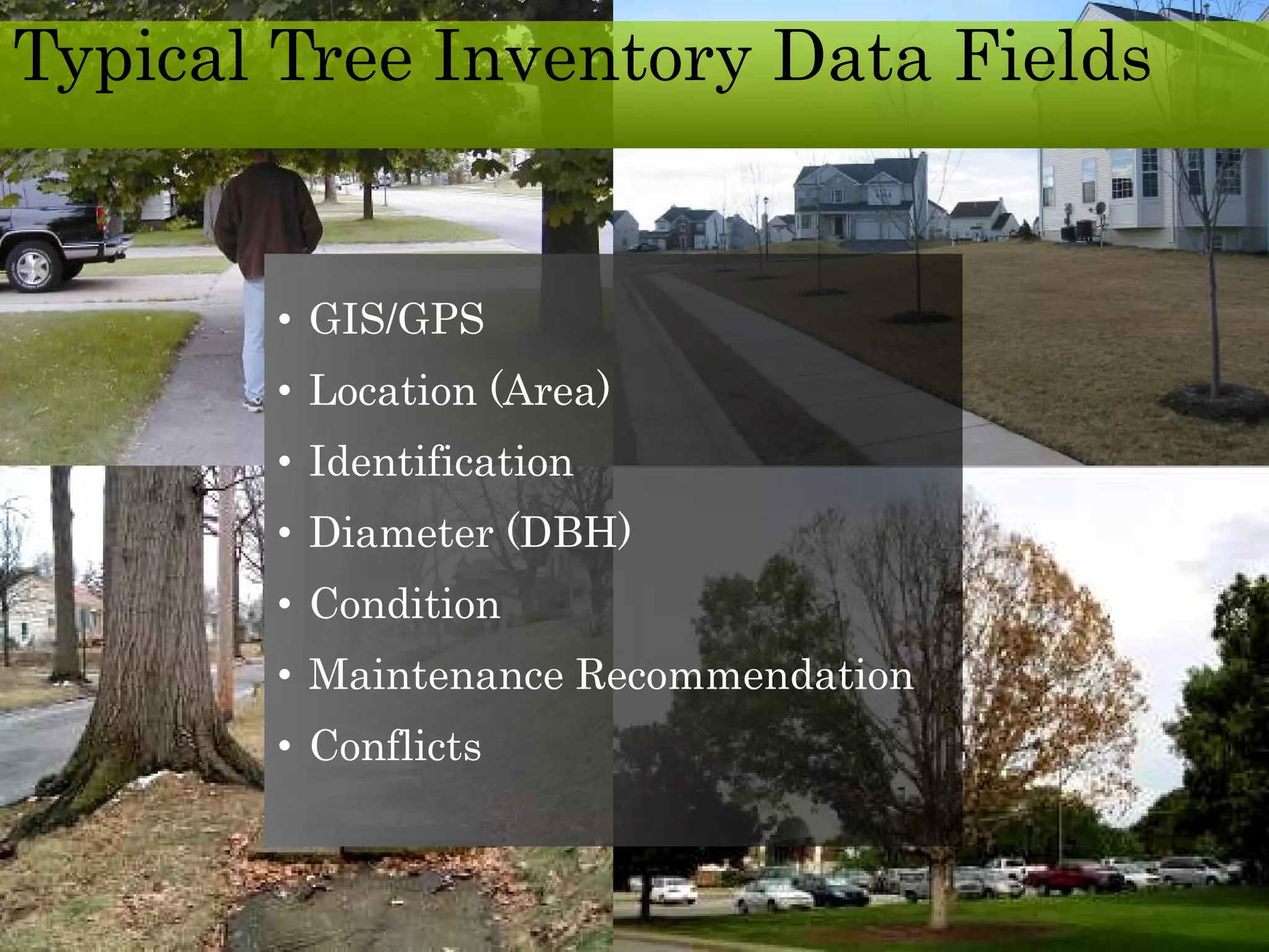 Typical Tree Inventory Data Fields
• GIS/GPS
• Location (Area)
• Identification
• Diameter (DBH)
• Condition
• Maintenance Recommendation
• Conflicts
 