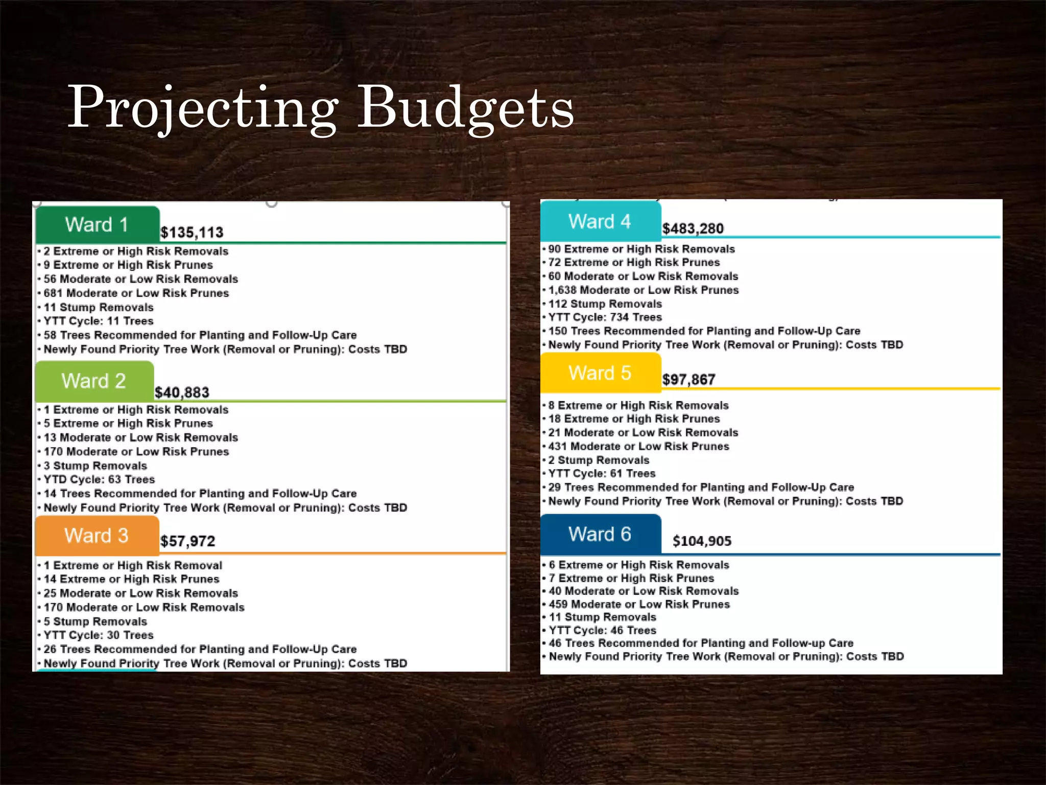 Projecting Budgets
 