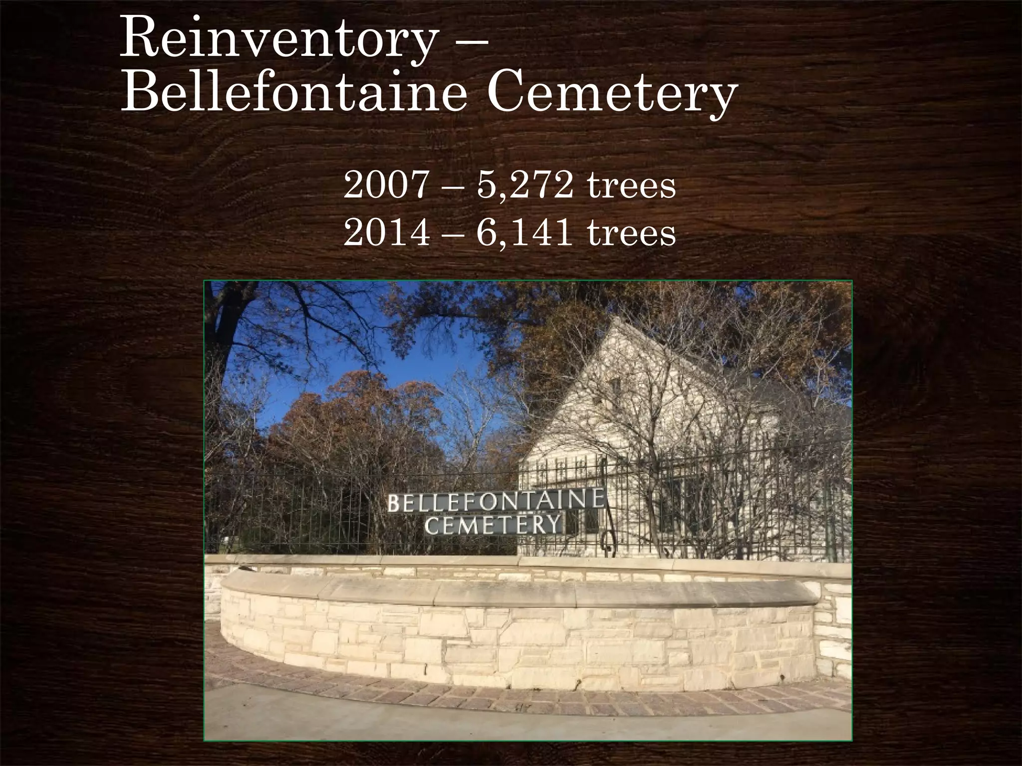 Reinventory –
Bellefontaine Cemetery
2007 – 5,272 trees
2014 – 6,141 trees
 