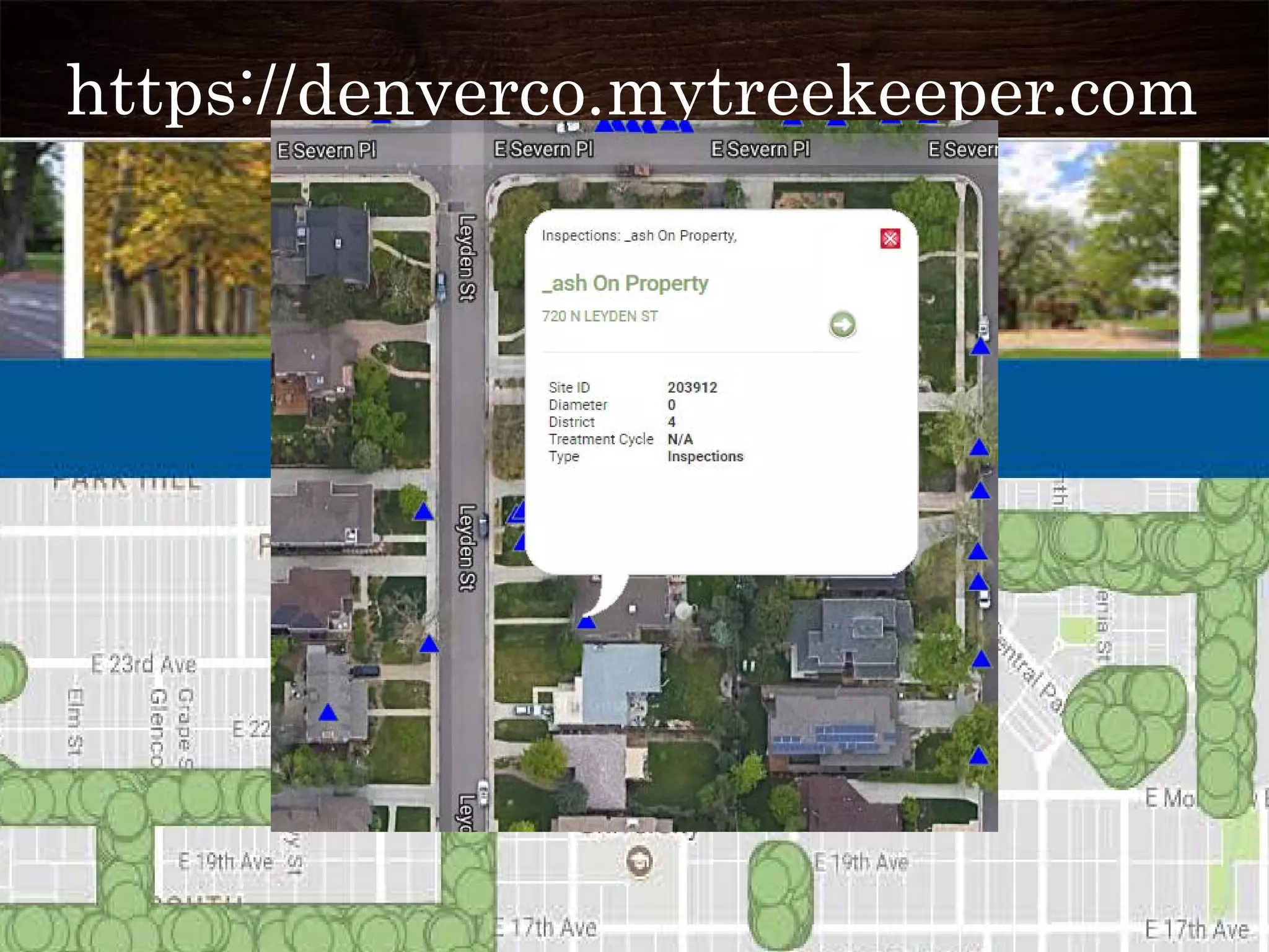https://denverco.mytreekeeper.com
 