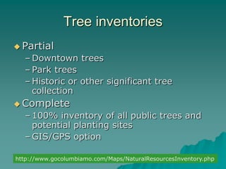 Tree Inventory Attributes Urban forestry | PPTX