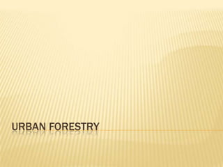 Urban Forestry 