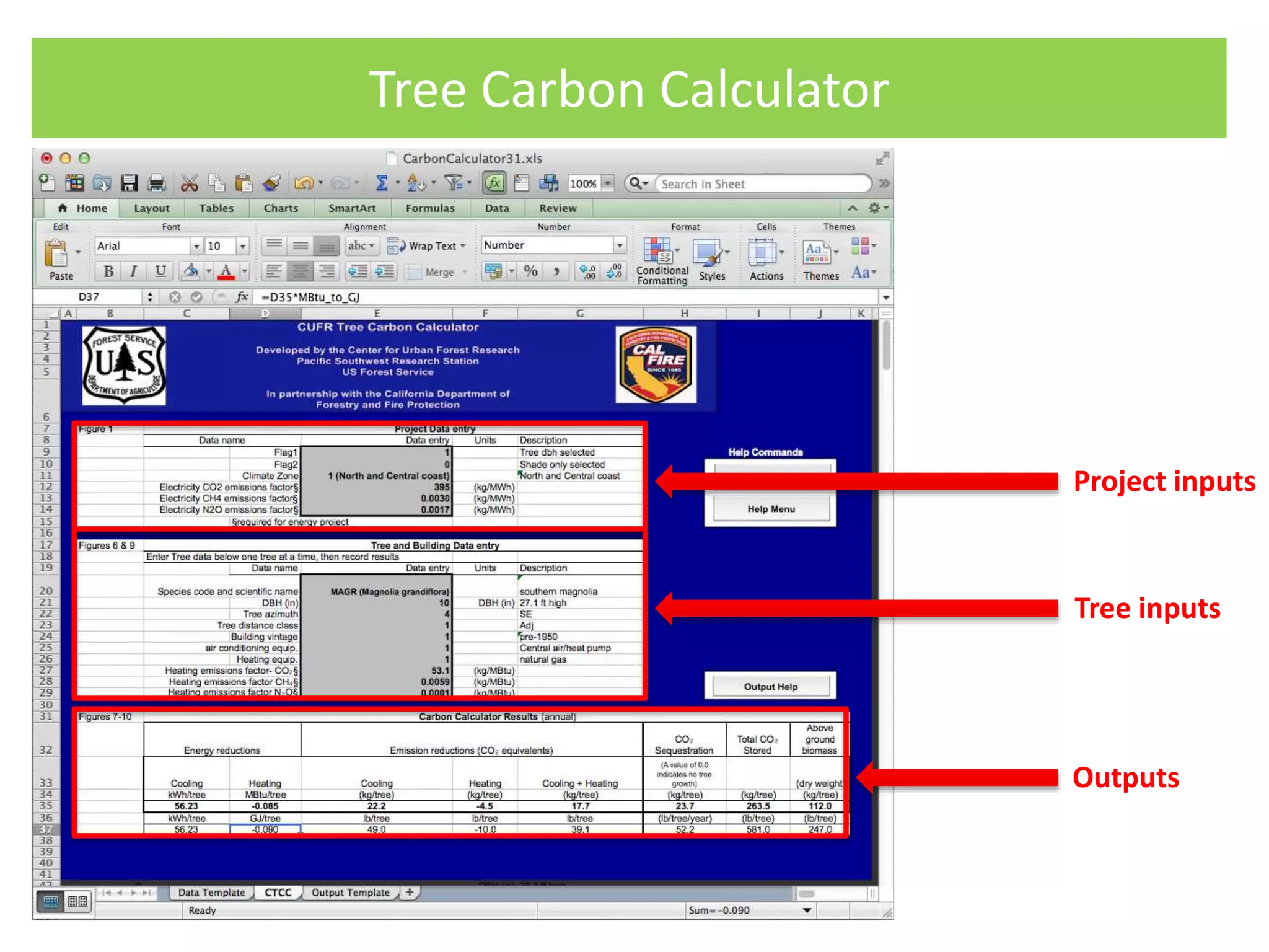 Project inputs
Tree inputs
Outputs
Tree Carbon Calculator
 