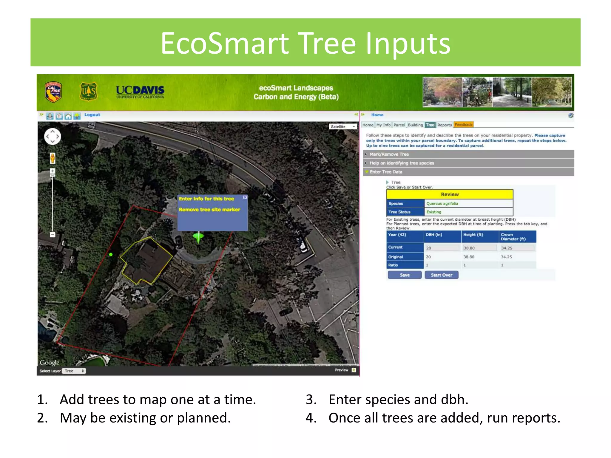 EcoSmart Tree Inputs
1. Add trees to map one at a time.
2. May be existing or planned.
3. Enter species and dbh.
4. Once all trees are added, run reports.
 