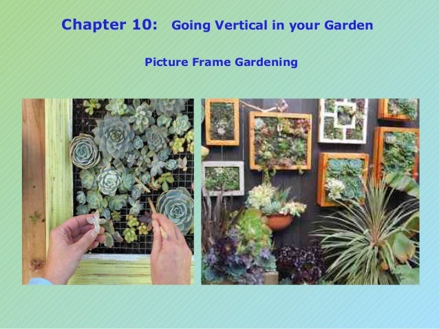 Urban Gardening For Dummies