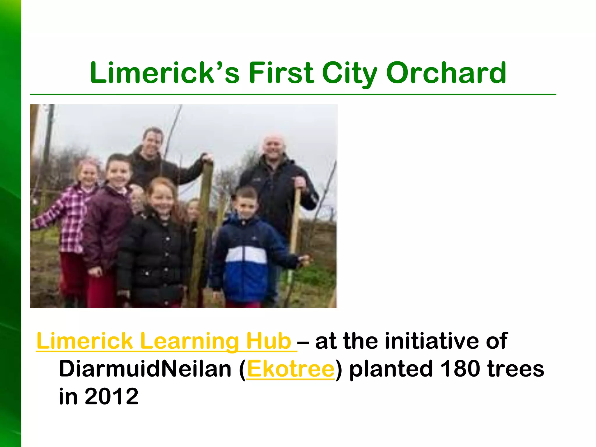 Limerick’s First City Orchard




Limerick Learning Hub – at the initiative of
  DiarmuidNeilan (Ekotree) planted 180 trees
  in 2012
 