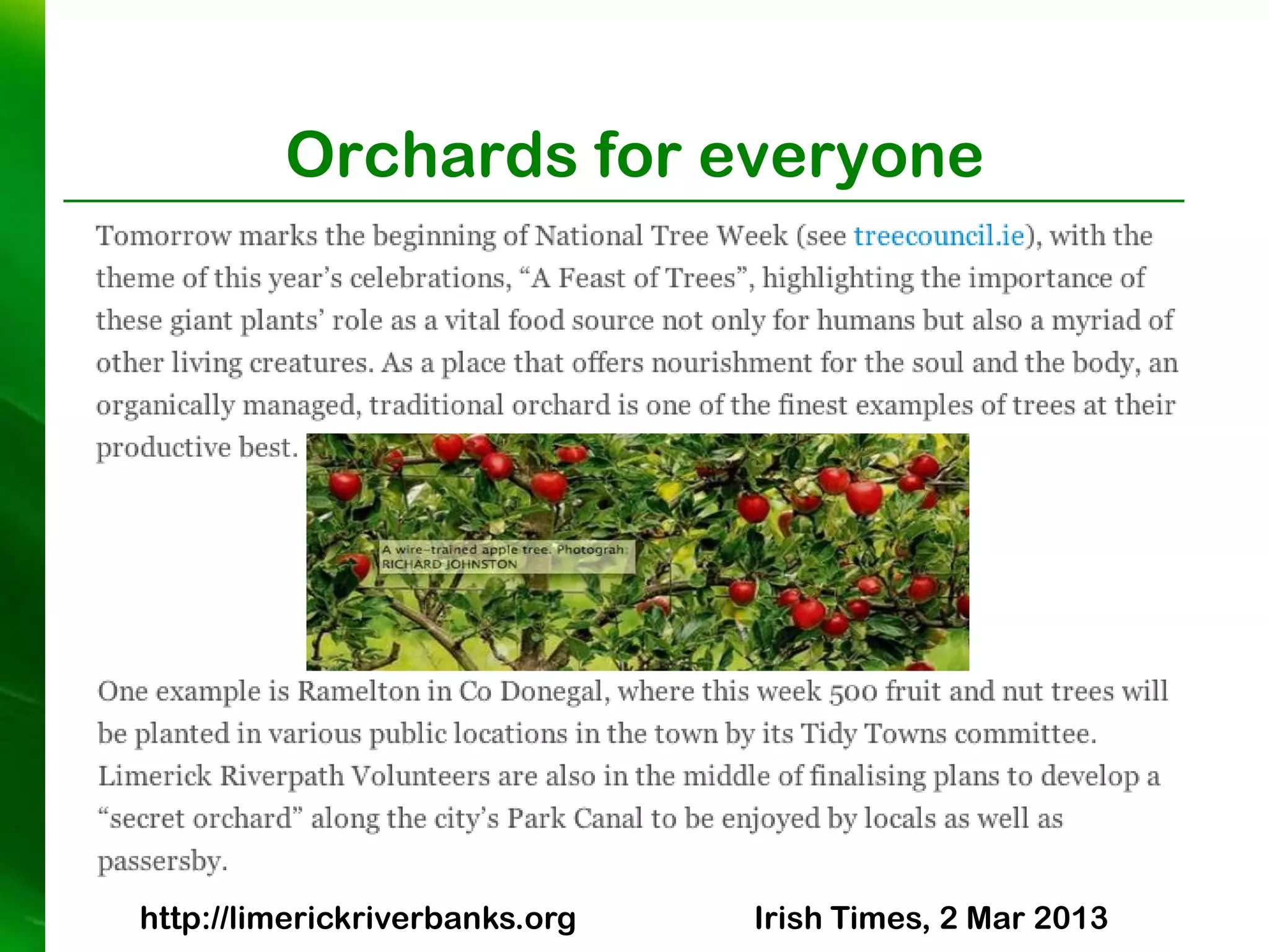 Orchards for everyone




http://limerickriverbanks.org   Irish Times, 2 Mar 2013
 
