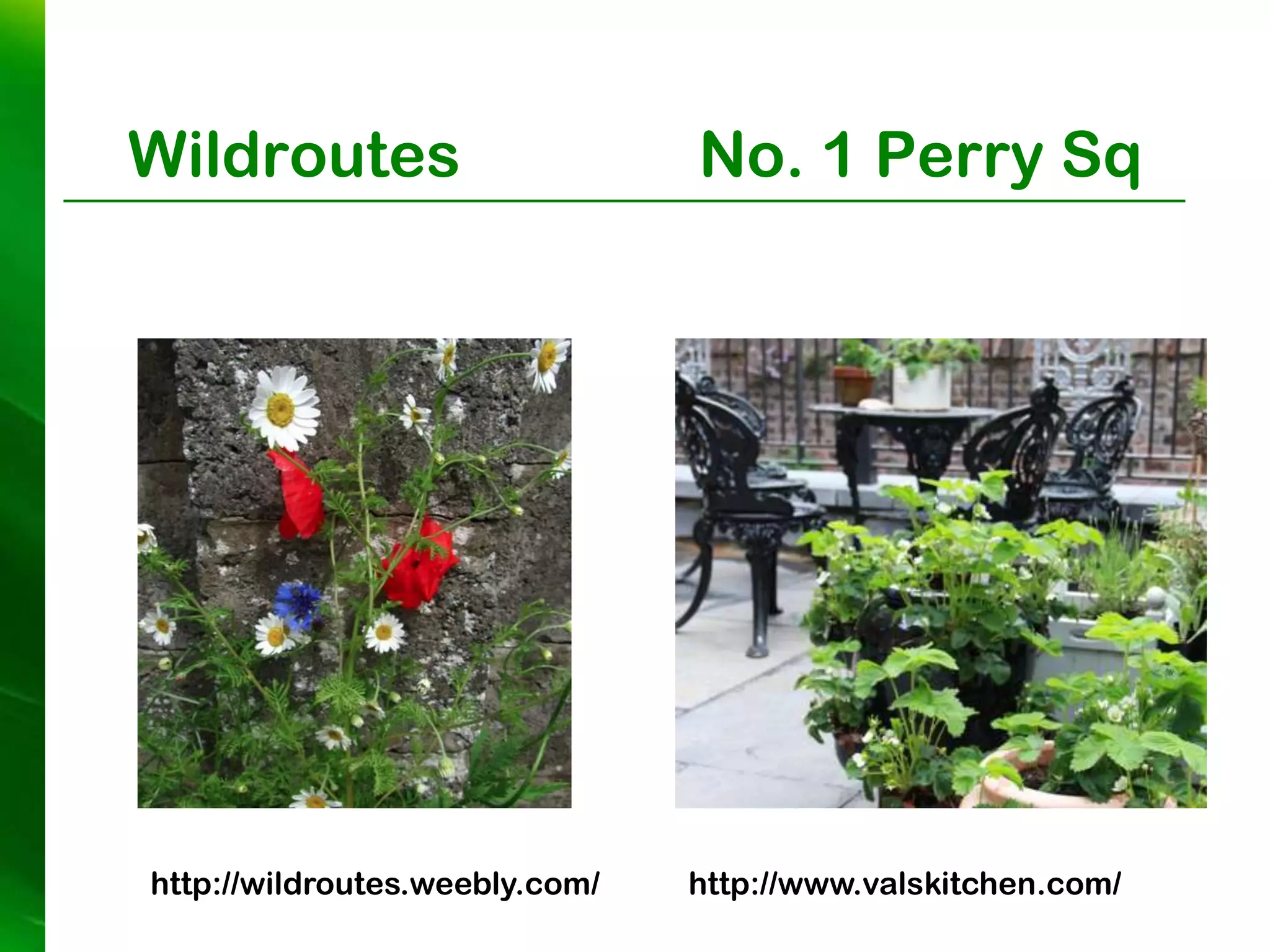 Wildroutes                      No. 1 Perry Sq




http://wildroutes.weebly.com/   http://www.valskitchen.com/
 