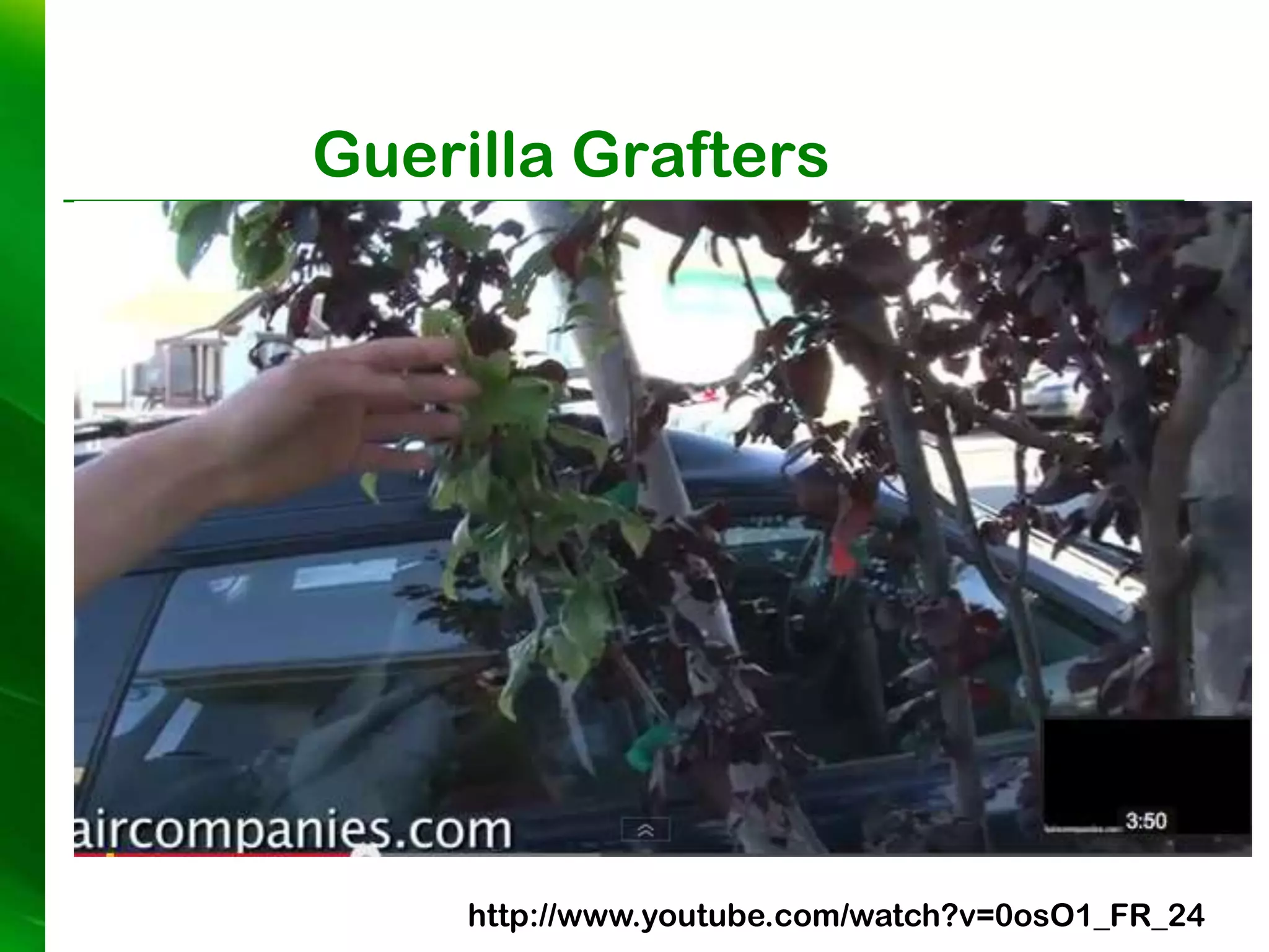 Guerilla Grafters




     http://www.youtube.com/watch?v=0osO1_FR_24
 