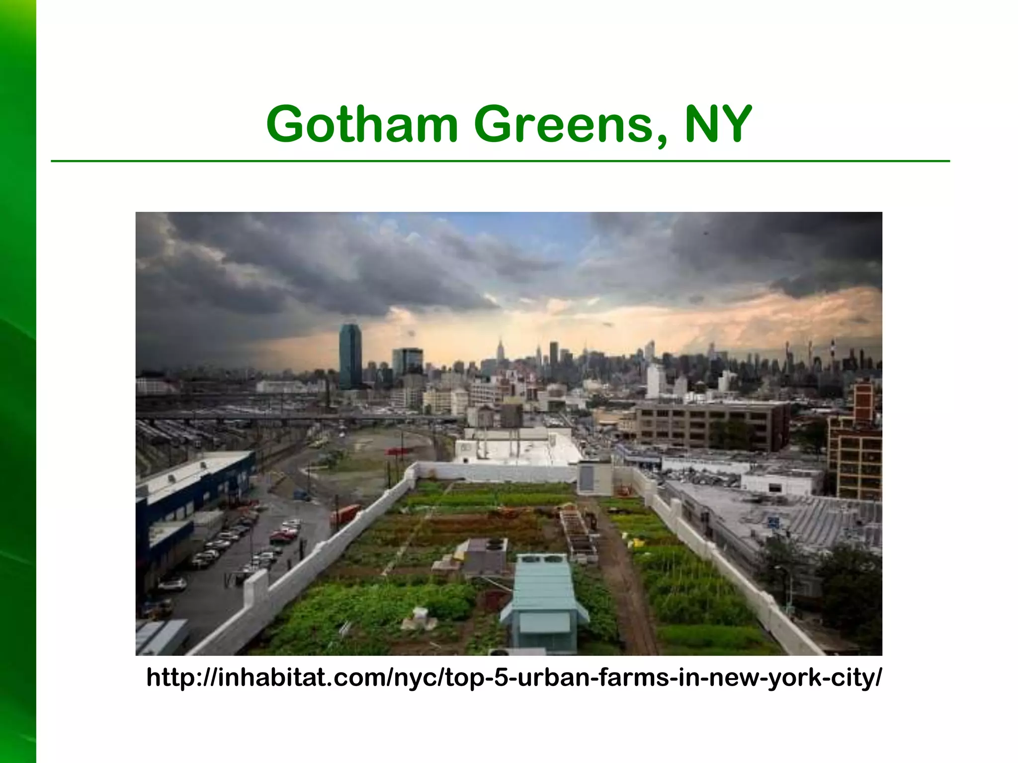 Gotham Greens, NY




http://inhabitat.com/nyc/top-5-urban-farms-in-new-york-city/
 