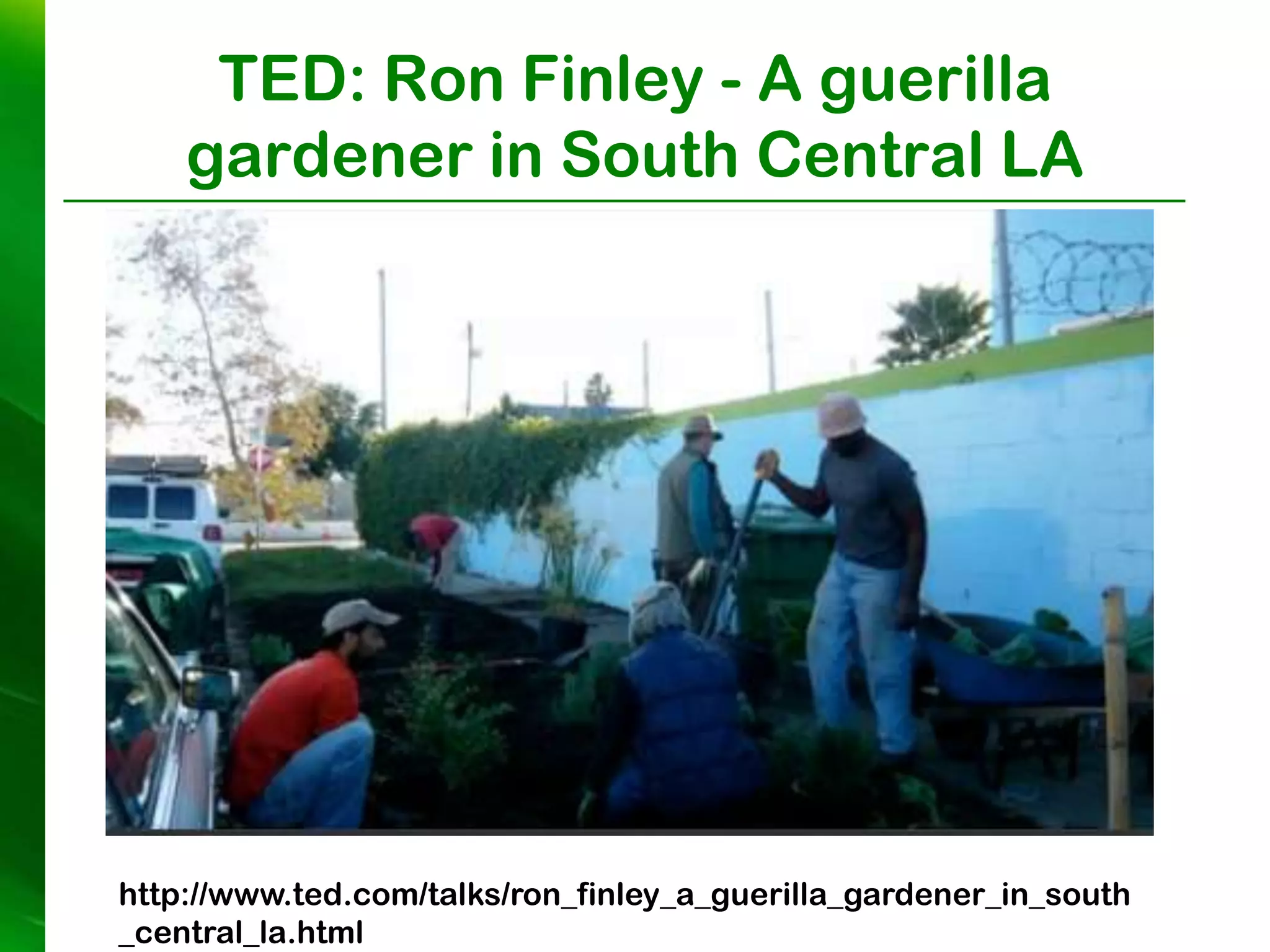 TED: Ron Finley - A guerilla
    gardener in South Central LA




http://www.ted.com/talks/ron_finley_a_guerilla_gardener_in_south
_central_la.html
 