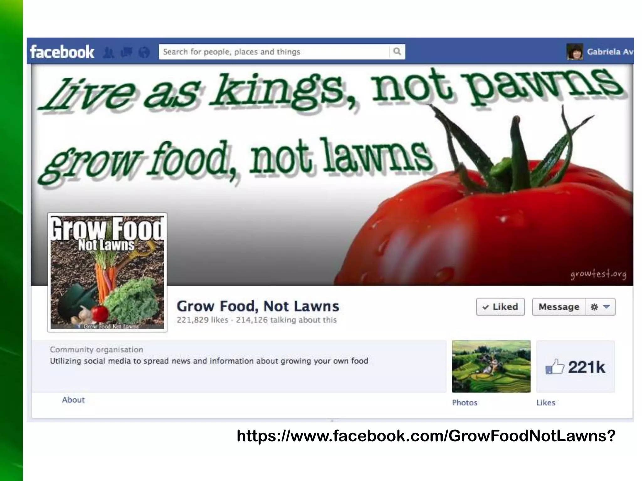 https://www.facebook.com/GrowFoodNotLawns?
 