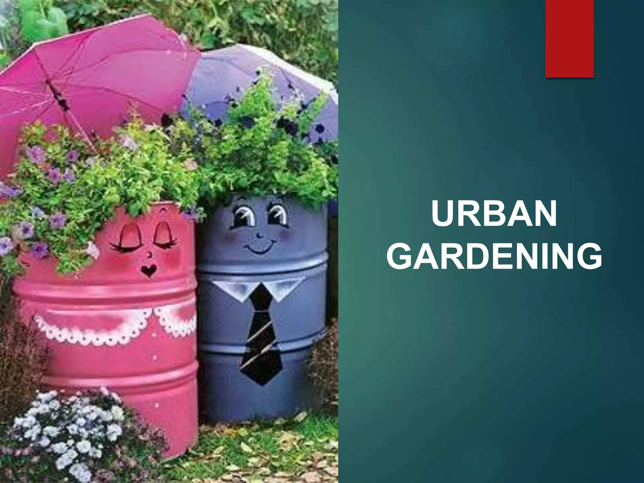 Urban gardening.pptx