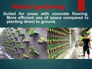 Vertical gardening
Suited for areas with concrete flooring.
More efficient use of space compared to
planting direct to ground.
 