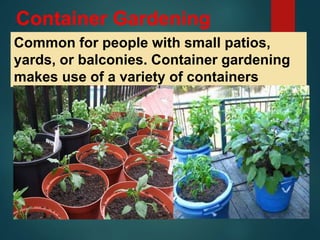 Common for people with small patios,
yards, or balconies. Container gardening
makes use of a variety of containers
Container Gardening
 