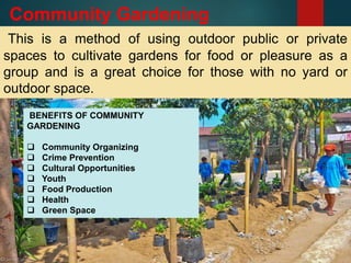 Community Gardening
This is a method of using outdoor public or private
spaces to cultivate gardens for food or pleasure as a
group and is a great choice for those with no yard or
outdoor space.
BENEFITS OF COMMUNITY
GARDENING
 Community Organizing
 Crime Prevention
 Cultural Opportunities
 Youth
 Food Production
 Health
 Green Space
 