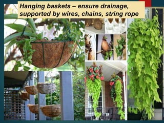 Hanging baskets – ensure drainage,
supported by wires, chains, string rope
 