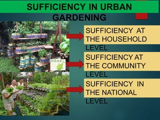 SUFFICIENCY IN URBAN
GARDENING
SUFFICIENCY AT
THE HOUSEHOLD
LEVEL
SUFFICIENCY AT
THE COMMUNITY
LEVEL
SUFFICIENCY IN
THE NATIONAL
LEVEL
 