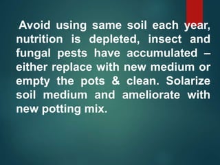 Avoid using same soil each year,
nutrition is depleted, insect and
fungal pests have accumulated –
either replace with new medium or
empty the pots & clean. Solarize
soil medium and ameliorate with
new potting mix.
 