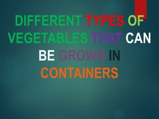 DIFFERENT TYPES OF
VEGETABLES THAT CAN
BE GROWN IN
CONTAINERS
 