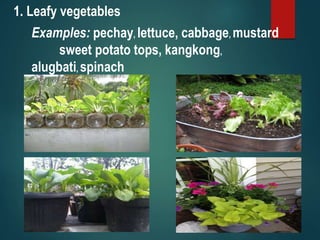 1. Leafy vegetables
Examples: pechay, lettuce, cabbage, mustard
sweet potato tops, kangkong,
alugbati, spinach
 