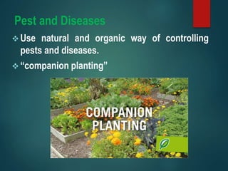 Pest and Diseases
 Use natural and organic way of controlling
pests and diseases.
 “companion planting”
 