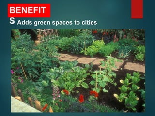 BENEFIT
S
• Adds green spaces to cities
 
