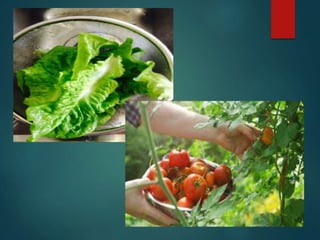 Urban gardening.pptx