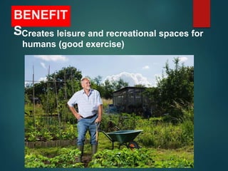 BENEFIT
S
• Creates leisure and recreational spaces for
humans (good exercise)
 