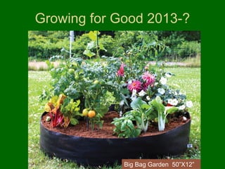 Growing for Good 2013-?




             Big Bag Garden 50”X12”
 