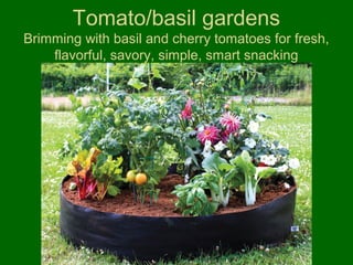 Tomato/basil gardens
Brimming with basil and cherry tomatoes for fresh,
    flavorful, savory, simple, smart snacking
 