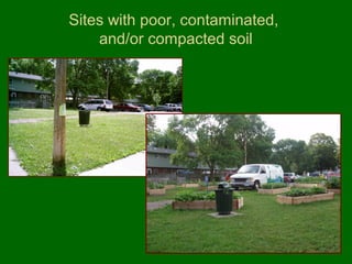 Sites with poor, contaminated,
    and/or compacted soil
 