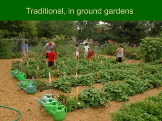 Traditional, in ground gardens




Early Spring . . . . . . . . . . . . . . . . . . After Planting
 