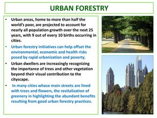 URBAN FORESTRY
• Urban areas, home to more than half the
world’s poor, are projected to account for
nearly all population growth over the next 25
years, with 9 out of every 10 births occurring in
cities.
• Urban forestry initiatives can help offset the
environmental, economic and health risks
posed by rapid urbanization and poverty.
• Urban dwellers are increasingly recognizing
the importance of trees and other vegetation
beyond their visual contribution to the
cityscape.
• In many cities whose main streets are lined
with trees and flowers, the revitalization of
greenery in highlighting the abundant benefits
resulting from good urban forestry practices.
 