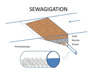 Perforated pipe
Sand
Biochar
Gravel
SEWAGIGATION
 