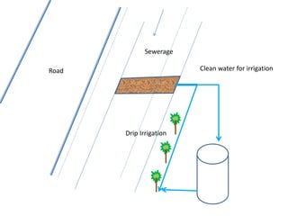 Road
Sewerage
Clean water for irrigation
Drip Irrigation
 