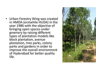• Urban Forestry Wing was created
in HMDA (erstwhile HUDA) in the
year 1986 with the objective of
bringing open spaces under
greenery by raising different
types of plantation models like
block plantation, avenue
plantation, tree parks, colony
parks and gardens in order to
improve the overall environment
of Hyderabad for better quality
life.
 