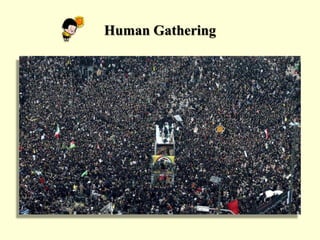 Human Gathering
 