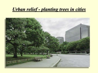 Urban relief - planting trees in cities
 