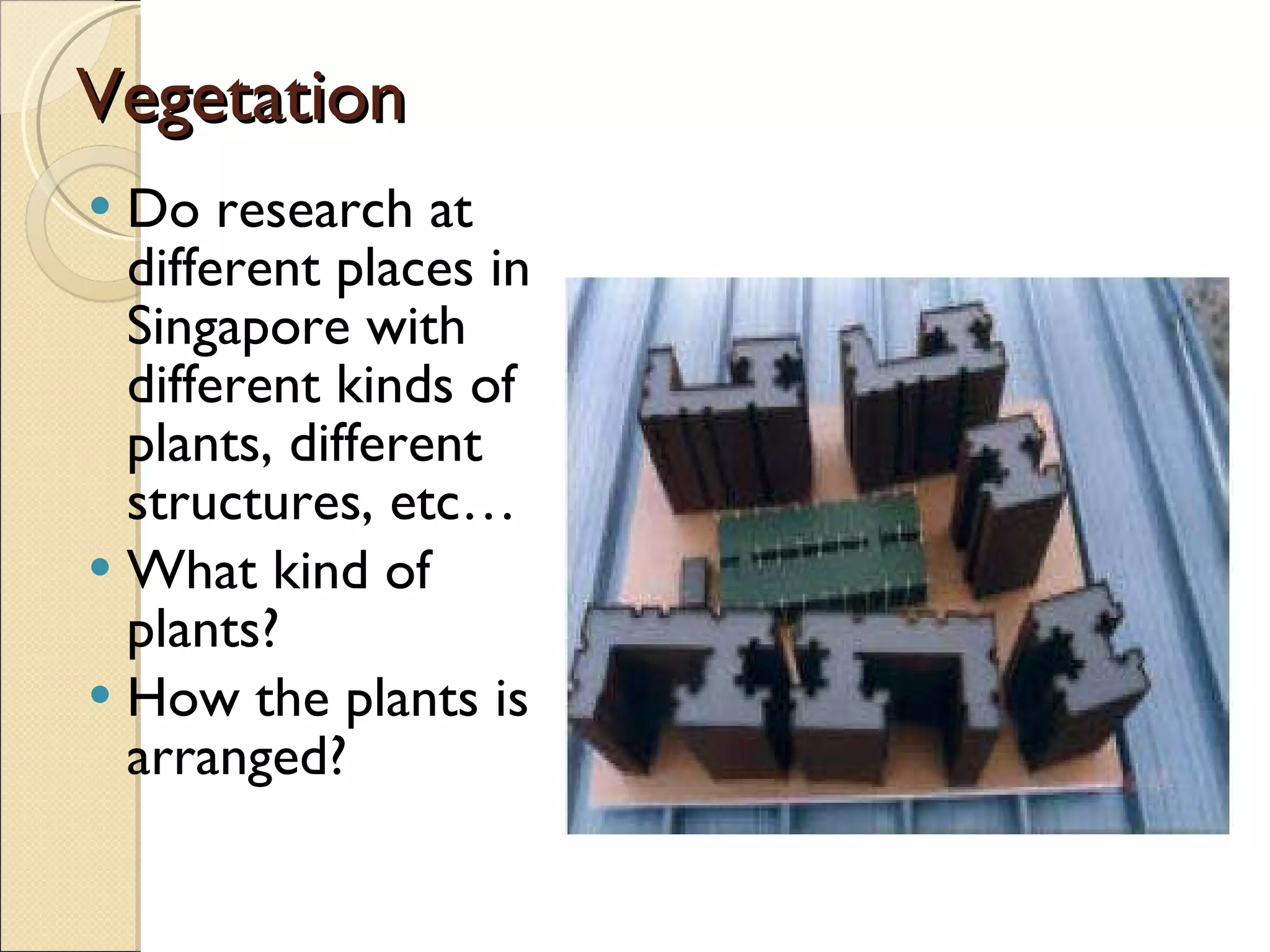 Vegetation Do research at different places in Singapore with different kinds of plants, different structures, etc… What kind of plants? How the plants is arranged? 