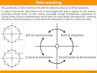 Tetra-meshing
The act whereby a ‘holon’ meshes or fits with the selection pressures of all four quadrants.
In order to tetra-mesh, each holon must to some degree be able to register its own exterior
accurately enough (truth), its own interior accurately enough (truthfulness), understand its
cultural milieu (mutual understanding)’ and fit within its social system (functional fit) – meaning
that all four selection pressures must be dealt with adequately in order for a holon to evolve.
© integralMENTORS
 