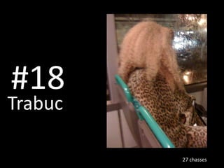 #18 Trabuc27 chasses