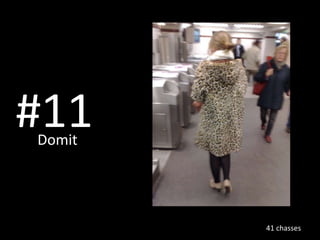 #11 Domit   41 chasses